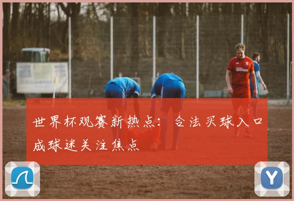 世界杯观赛新热点:合法买球入口成球迷关注焦点