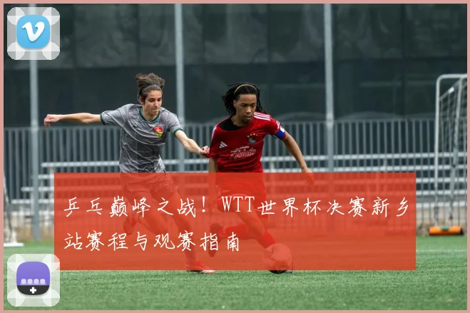 乒乓巅峰之战!WTT世界杯决赛新乡站赛程与观赛指南