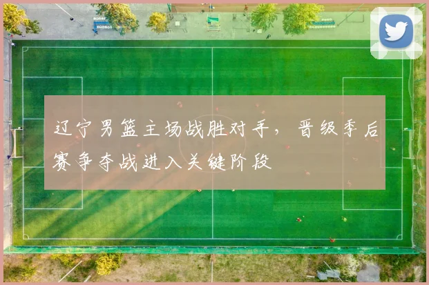 辽宁男篮主场战胜对手，晋级季后赛争夺战进入关键阶段