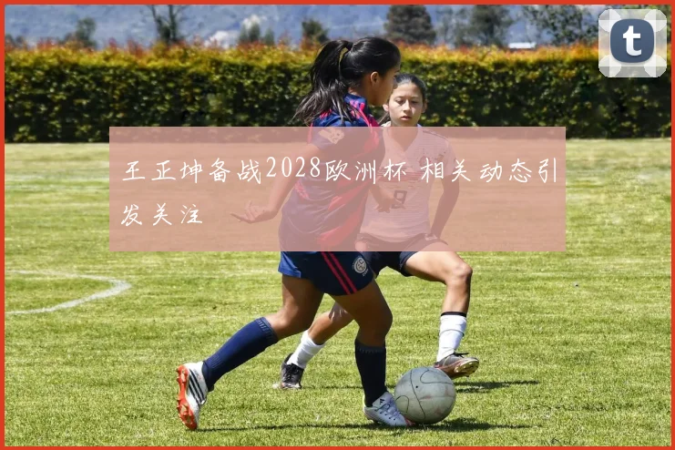 王正坤备战2028欧洲杯 相关动态引发关注
