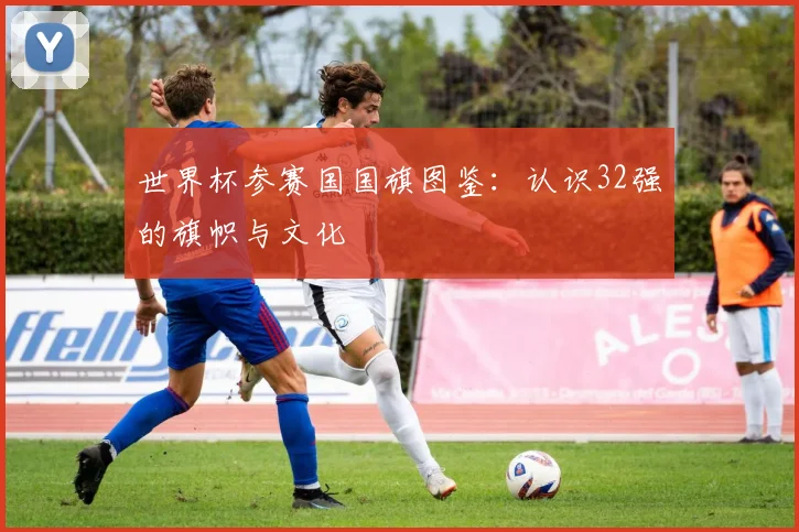 世界杯参赛国国旗图鉴：认识32强的旗帜与文化