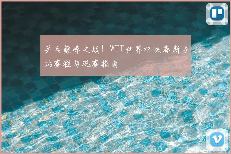 乒乓巅峰之战!WTT世界杯决赛新乡站赛程与观赛指南