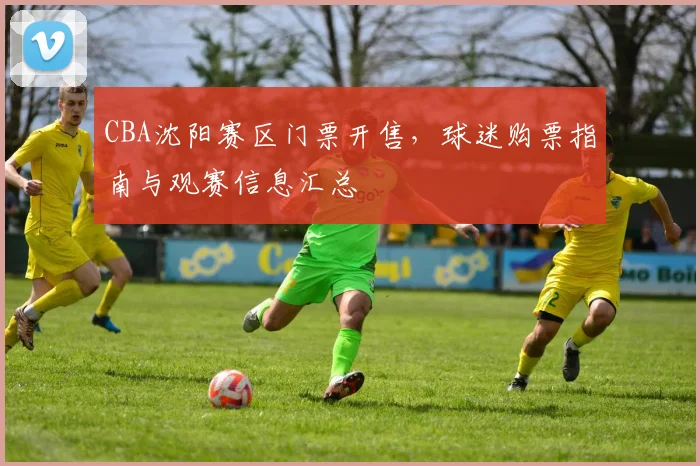 CBA沈阳赛区门票开售,球迷购票指南与观赛信息汇总
