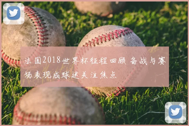 法国2018世界杯征程回顾 备战与赛场表现成球迷关注焦点