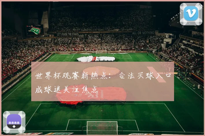 世界杯观赛新热点:合法买球入口成球迷关注焦点